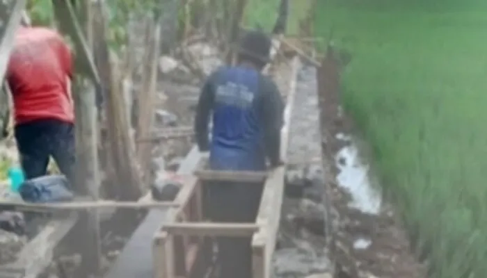 Sukses Program Inpres Irigasi di Desa Bangunharja, Petani Sampaikan Apresiasi