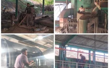 Nyawa di Ujung Risiko: Penerapan K3 di PKS PT Esem Lestari Jaya Dipertanyakan