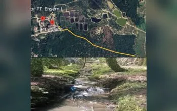 Diduga Langgar Aturan Pengelolaan Limbah, Aktivitas PKS PT ELJ Disorot