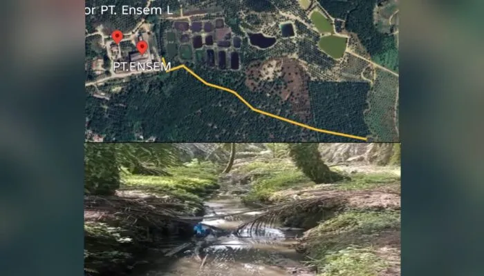 Diduga Langgar Aturan Pengelolaan Limbah, Aktivitas PKS PT ELJ Disorot