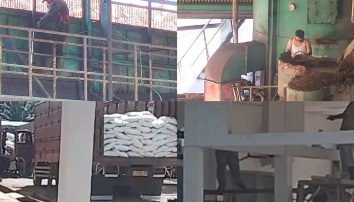 Pengawasan K3 di Nagan Raya Disorot, Aktivis Nilai Penegakan SMK3 Belum Maksimal