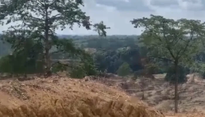 Diduga Terjadi Ketimpangan Hukum dalam Sengketa Lahan, Warga Nagan Raya Minta Bupati dan DPRK Turun Tangan