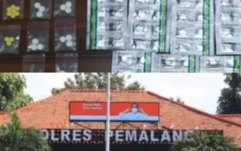Dugaan Penanganan Terduga Pengedar Obat Keras Golongan G di Pemalang Jadi Sorotan, Keterangan Polisi Berbeda dengan Rekaman Video