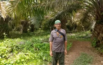 Eks HGU PT USJ di Nagan Raya Disoroti, Diduga Beralih dan Masih Dikuasai Perusahaan
