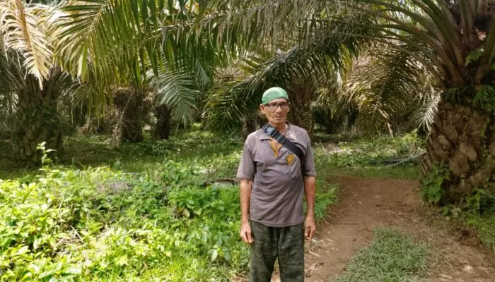 Eks HGU PT USJ di Nagan Raya Disoroti, Diduga Beralih dan Masih Dikuasai Perusahaan