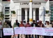 Di Tengah Proses PTUN, Petani Laoli Desak Pemkab Lutim Hentikan Aktivitas di Objek Sengketa